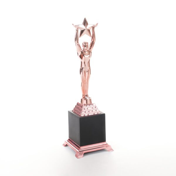 Bronze Star Achiever Trophy - Image 2