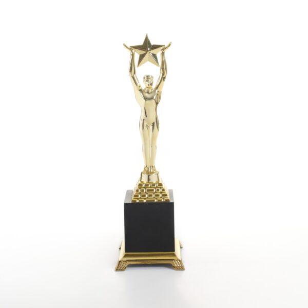 Gold Star Achiever Trophy